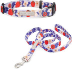 Lucky Love Dog - Easy Click Buckle Dog Collar with Leash Set Combo, Durable & Comfortable for Male & Female Dogs, Pet Collar for Large Dogs, Secure Fit - Sweet Berry Combo, Large