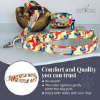Lucky Love Dog Martingale Dog Collar - Adjustable, No-Slip, Durable, & Soft Webbing Collar for Male and Female Dogs Ideal for Training & Walking - Oscar, Small