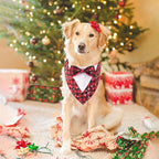 Adjustable Red Plaid Christmas Dog Tuxedo Bandana with Bow Tie - Holiday Pet Outfit Costume for Dogs XS to XL