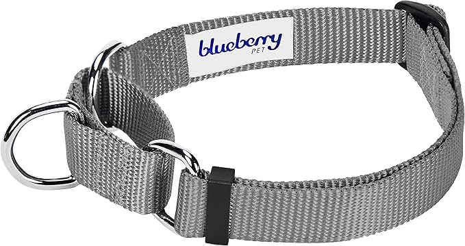 Blueberry Pet Essentials Martingale Safety Training Dog Collar, Flint Gray, Small, Heavy Duty Nylon Adjustable Collars for Dogs