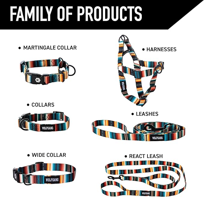 Wolfgang Heavy Duty Martingale Dog Collar with Quick Release Nylon Buckle for Walking & Training, LostArt Print, Extra Large