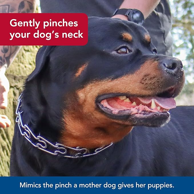 Coastal Pet Titan Dog Prong Quick Release Training Collar - Pet Training Collar for Dogs - Rust-Resistant Metal Dog Collar for Dog Training - Prong Dog Chain Collar - Quality Dog Supplies - 3 mm x 18"
