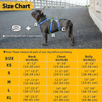 Huntboo Escape Proof Dog Harness,No Pull Reflective Harness with Lift Handle,Adjustable Pet Vest with Front and Back Leash Clips for Small Medium Large Dogs Walking Hiking Training (Sea Blue,XL)