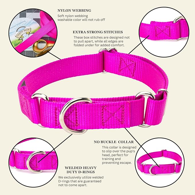 Country Brook Petz - Martingale Dog Collar - Heavy-Duty Training Collar with No Buckle - Service Dog Collar for All Pups - 10+ Cool Colors (Fuchshia, 5/8 Inch, Extra Small)