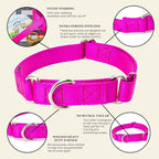 Country Brook Petz - Martingale Dog Collar - Heavy-Duty Training Collar with No Buckle - Service Dog Collar for All Pups - 10+ Cool Colors (Fuchshia, 5/8 Inch, Extra Small)