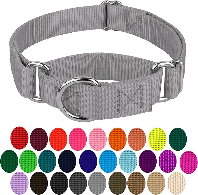 Country Brook Petz - Martingale Dog Collar - Heavy-Duty Training Collar with No Buckle - Service Dog Collar for All Pups - 10+ Cool Colors (Silver, 3/8 Inch, 3XS)