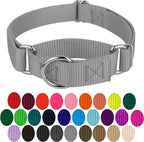 Country Brook Petz - Martingale Dog Collar - Heavy-Duty Training Collar with No Buckle - Service Dog Collar for All Pups - 10+ Cool Colors (Silver, 3/4 Inch, Small)