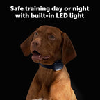 PetSafe Core Dog Trainer with Remote - Effective Dog Training - 15 Levels of Static Correction - Waterproof Collar - Rechargeable Training Collar - Compact Remote Transmitter