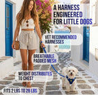 EcoBark Step in Dog Harness Reflective Soft Ultra Padded Mesh Dog Harnesses for XXS, XS, Small, and Medium Dogs Eco-Friendly Comfort Secure Halter No Pull Adjustable Pet Vest