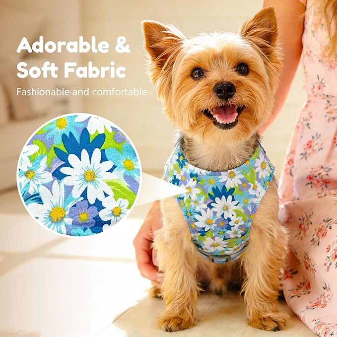BAEJMJK Dog Harness and Leash Set with Bow Knot No Pull Pet Daisy Floral Harness with D-Ring Soft Mesh Dog Harness Vest Set Escape Proof Princess Puppy Harness for Small Girl Dogs Cats（Blue A M）