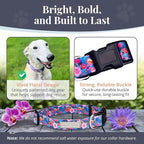 Lucky Love Dog - Adjustable Dog Collar with Easy Click Buckle for Small Dogs, Durable, & Comfortable Collar for Male & Female Dogs, Pet Collar for Puppies & Adult Dogs - Zuzu, XS
