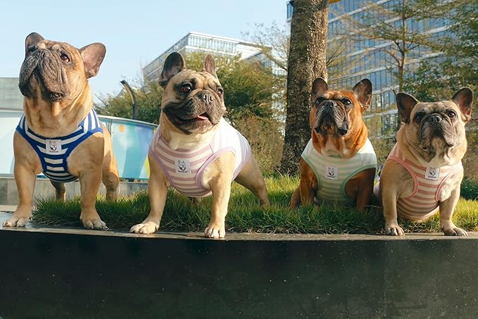 iChoue Pug 100% Breathable Cotton Striped T Shirts Halloween Vest Clothes for Medium Dogs Tank Tops Puppy French Bulldog Frenchie English Boston Terrier Pitbull Purple White Stripes - Small