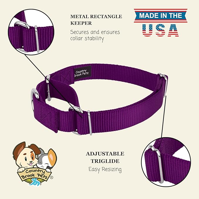 Country Brook Petz - Martingale Dog Collar - Heavy-Duty Training Collar with No Buckle - Service Dog Collar for All Pups - 10+ Cool Colors (Purple, 3/8 Inch, 3XS)
