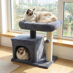 PETSITE 19.5-inch Small Cat Tree, with Sisal Scratching Post, Interactive Hanging Ball, Comfy Condo, and Spacious Top Perch, Ideal for Indoor Cats and Kittens (Dark Grey)