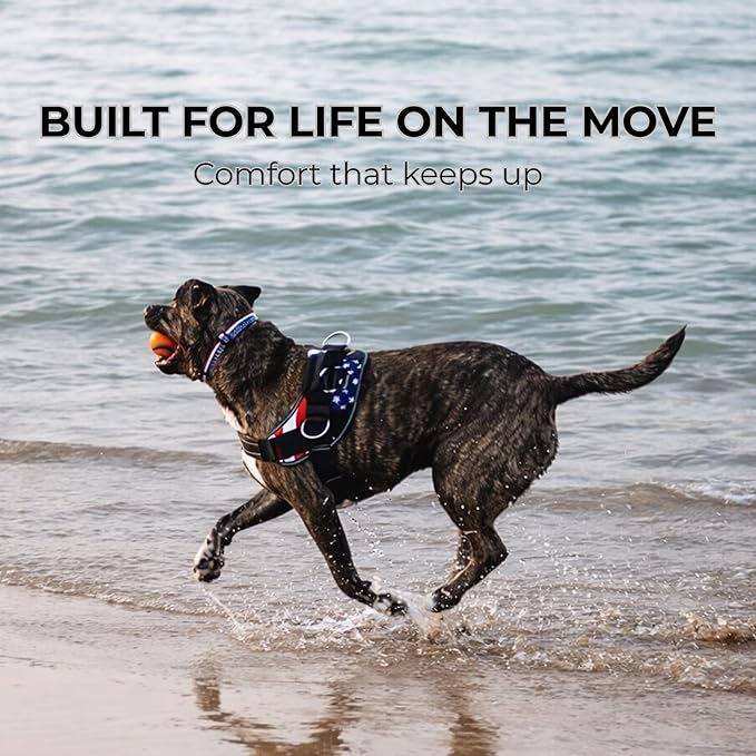 ShawnCo Essential Dog Harness, No-Pull Pet Vest with 3 Leash Clips, No Choke, Reflective, Adjustable and Padded, for Easy Walking and Training for Small, Medium and Large Dogs (ICY Lilac, XL)
