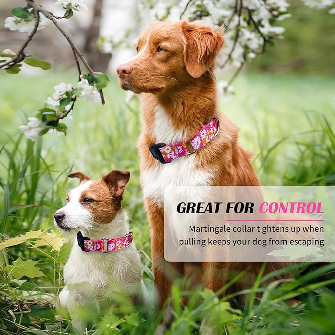 Hikiko Martingale Collar for Dogs Cute Floral Dog Collar for Small Medium Large Dogs Spring Summer Daisy Dog Collars for Girl Female Pet (Hot Pink Flower,Medium)