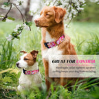Hikiko Martingale Collar for Dogs Cute Floral Dog Collar for Small Medium Large Dogs Spring Summer Daisy Dog Collars for Girl Female Pet (Hot Pink Flower,Medium)