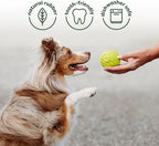 Benebone 4-Pack Ball/Bone/Bacon Wishbone/Fishbone Medium