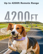 Jugbow Dog Training Collar - 4200FT Dog Shock Collar with Remote for Large Medium Small Dogs, Rechargeable Waterproof IPX8 E Collars with Beep (1-3) Vibration(1-3) Safe Static(0-99), Purple