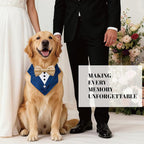 AVERYDAY Dog Tuxedo Bandana Collar for Wedding Outfit, Dog Tux Costume with Bowtie, Pet Harness with Leash Ring for Birthday Party Christmas, Formal Wear Suit and Tie for Small Medium Large Breeds