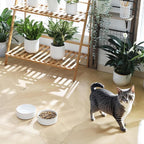 MALACASA Ceramic Dog Food Bowl, 1.5 Cups or 14oz Dog Food Water Dish for Small Breeds, Cats Pet Bowl Dishwasher & Microwave Safe, Five-Leaf Grass, Series Lydia
