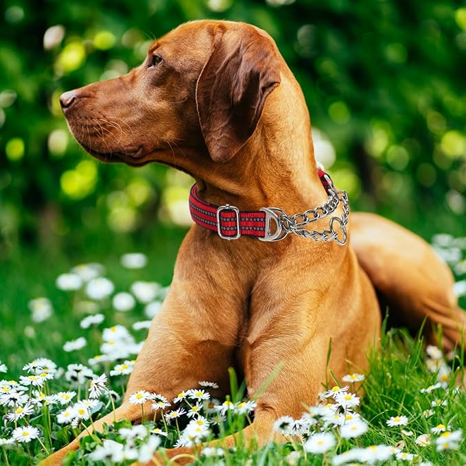 Martingale Dog Collar with Reflective Padded Strap, Anti-Choke & No-Pull Design Dog Collars with Heavy-Duty Chain, Perfect for Medium Large Extra Large and XXL Dogs (Red L)