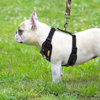 PUPTECK Small Dog Harness and Leash Set, No Pull Adjustable Puppy Cat Harness, Reflective Soft Mesh Pet Vest Small Sized, Camouflage, M