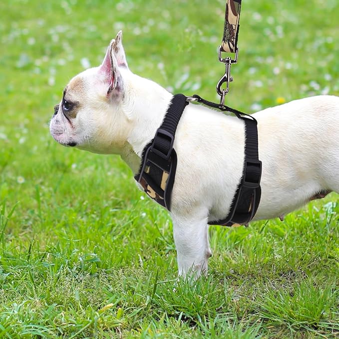 PUPTECK Small Dog Harness and Leash Set, No Pull Adjustable Puppy Cat Harness, Reflective Soft Mesh Pet Vest Small Sized, Camouflage, M