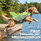 ASENKU Dog Life Jacket - Pet Safety Vest for Swimming & Boating, Shark Life Jacket with Floatation, Dog Lifesavers Swimsuits for Small Medium Large Dogs (Green, XL)