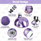 BEAUTYZOO Small Dog Harness and Leash Set,Step in No Choke No Pull Soft Mesh Dog Harnesses Reflective for Extra-Small/Small Medium Puppy Dogs and Cats, Plaid Dog Vest Harness for XS S Pets, Purple XXS