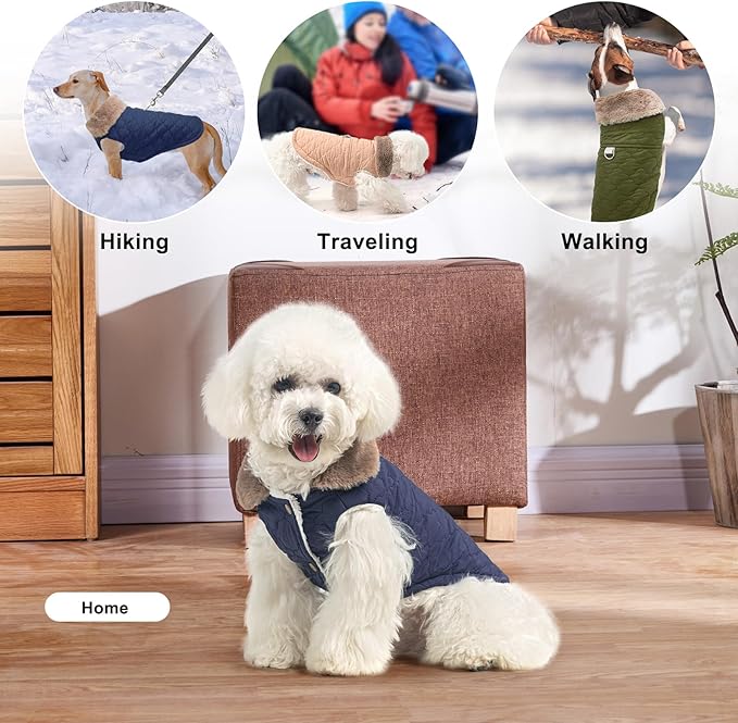 BEAUTYZOO Winter Dog Coat with Harness Built in, Warm Dog Puffer Jacket Vest Padded Fleece Cold Weather Coats Windproof Waterproof Snow Jackets Clothes for Small Medium Puppy, Blue M