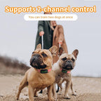Dog Training Shock Collar 4300FT Dog Bark Collar with Remote IP67 Waterproof 4 Training Modes Beep Vibration Shock Light Mode Magnetic Charger Electric Dogs Collar 8-25 inches Double Shock Rose Bloom
