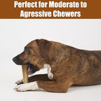 SPOT Bam-Bones Plus T-Bone Dog Chew Toy, Bamboo Fiber & Nylon, Chicken Flavor, Durable Non-Splintering Chew for Moderate to Aggressive Chewers, Dogs 30-60 lbs, 6 Inch
