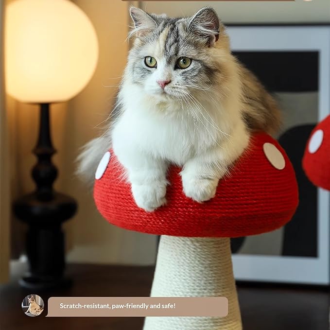 Happy & Polly Mushroom Cat Scratcher Toy, Red and White, Floor Mount, Modern Style, for Indoor Climbing (Red, Large)