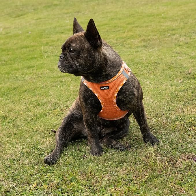 AMTOR Small Dog Harness with Leash Set, No Escape Easy Walk Puppy Harnesses for Training Walking, Step-in Reflective Soft Dogs Vest for XS S Medium Extra-Small Large Sized Dog(M Size,Orange/White)