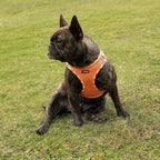 AMTOR Small Dog Harness with Leash Set, No Escape Easy Walk Puppy Harnesses for Training Walking, Step-in Reflective Soft Dogs Vest for XS S Medium Extra-Small Large Sized Dog(XS Size,Orange/White)