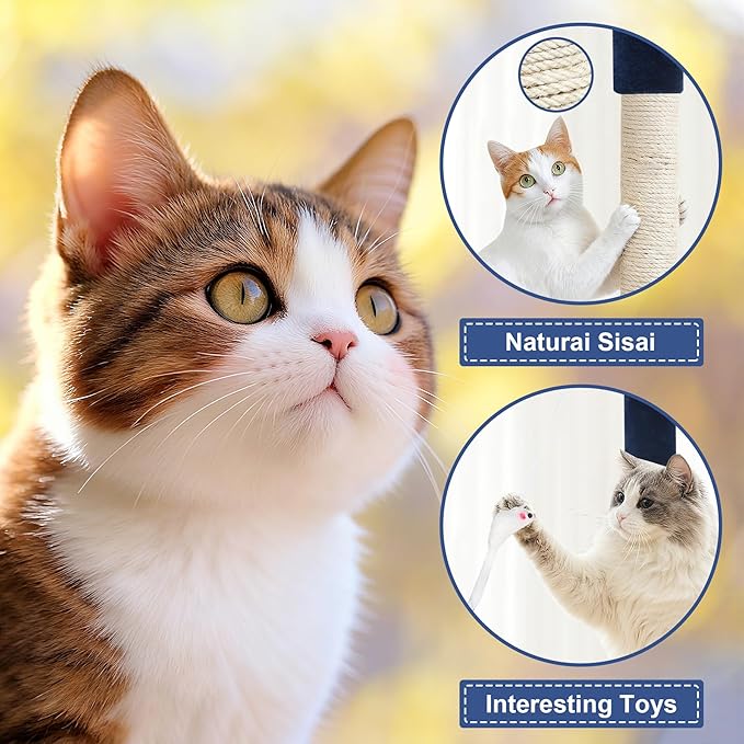 BLKMTY 36" Cat Tree Tall Cat Tower for Indoor Cats Condo Climber with Scratching Post, Climbing Stand, Plush Top Perch and Mouse Toy Cats Playhouse Kitty Activity Trees with Hammock, Navy Blue