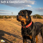 ADITYNA - Leather Dog Collar with Metal Buckle for Large, and Extra Large Dogs - Heavy-Duty, Adjustable, and Leather Tactical Dog Collar (Red, Fits 19-30" Necks)