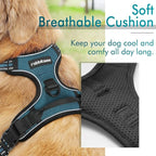 rabbitgoo Dog Harness No Pull with 2 Leash Clips, Adjustable Soft Padded, Reflective Oxford No Choke Pet Vest with Easy Control Handle for Small Dogs, Blue Coral, S