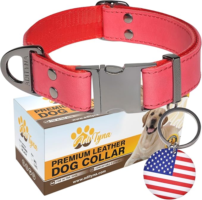 ADITYNA Red Leather Dog Collar with Metal Buckle - Heavy-Duty, Adjustable for Medium & Large Dogs (Red, Fits 15-21" Necks)