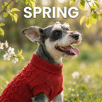 Warm Dog Valentines Sweaters, Pet Clothes Knitwear Dog Pullover for Poodle, West Highland, Pomeranian Puppy (Red S)