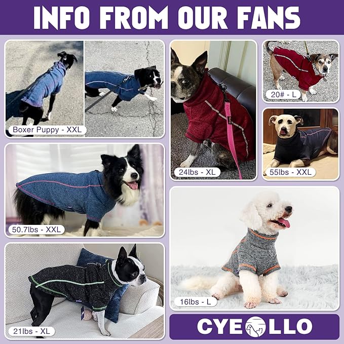 cyeollo Fleece Dog Jacket Sweater with Fleece Lining Zipper Reflective Jackets with D Ring Small Dog Clothes Winter Warm Indoor and Outdoor Coats