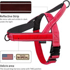 Annchwool No Pull Dog Harness with Padded Handle+5 Ft Leash,Reflective Strip Escape Proof and Quick Fit to Adjust Dog Harness,Easy for Training Walking for Small & Medium and Large Dogs(Red-Set,XL)