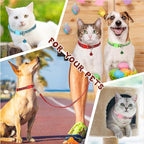 Amylove 48 Pcs Dog Collar and Leash Set, Polypropylene Adjustable Puppy Collars for Medium Dogs Small Pet Puppy Walking Training with Hook and Buckle(Fresh Color,Leopard Pattern)