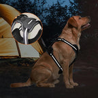 Amazon Basics No-Pull Dog Harness, Adjustable Soft Padded Vest with Reflective Stripes, Large, Black