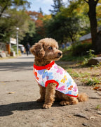 PET SHOW 4 Pack Summer Dog Shirts for Small Dogs Girl UPF 50+ UV Sun Protection Cooling Clothes Tank Top Floral Puppy T-Shirts Pet Holiday Party Sleeveless Vest Pink(Medium)