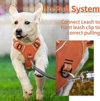HEELE Dog Harness for Small Dogs No Pull Dog Vest Harness for Small Dog with Soft Padded Handle Reflective for Outdoor Training, Pumpkin Orange, S