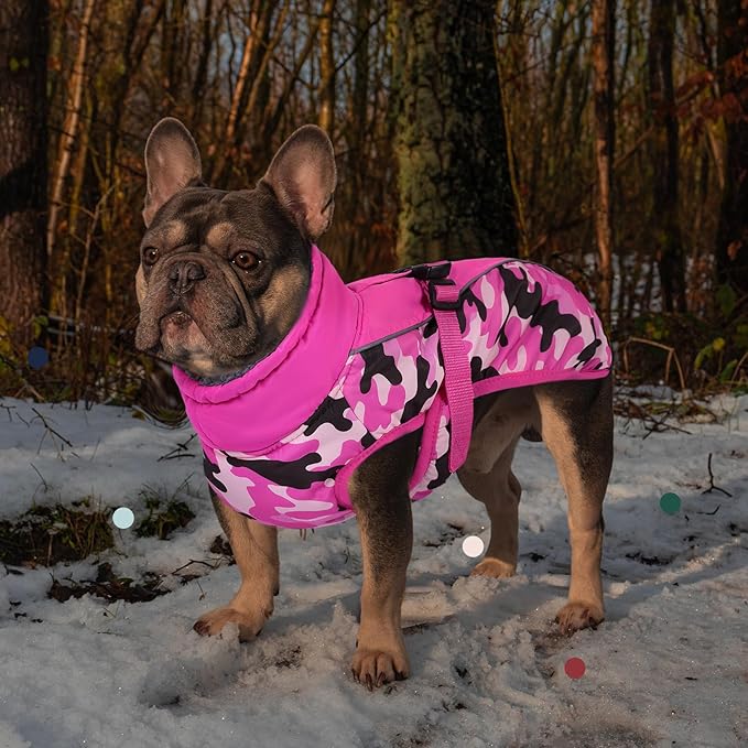 IECOii Extra Warm Reflective Adjustable Dog Jacket - Fleece Turtleneck Winter Coat for Small, Medium & Large Dogs