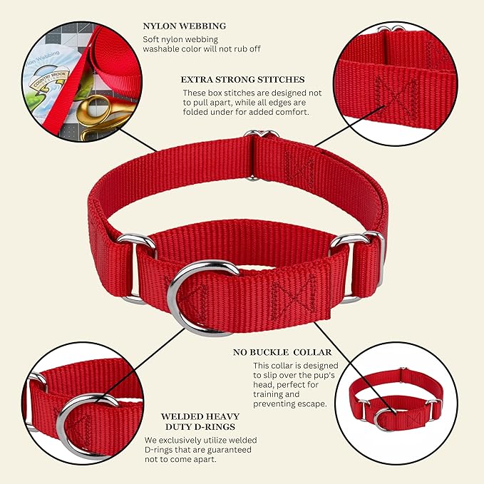 Country Brook Petz - Martingale Dog Collar - Heavy-Duty Training Collar with No Buckle - Service Dog Collar for All Pups - 10+ Warm Colors (Red, 3/4 Inch, Small)