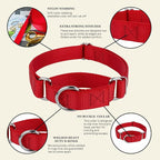 Country Brook Petz - Martingale Dog Collar - Heavy-Duty Training Collar with No Buckle - Service Dog Collar for All Pups - 10+ Warm Colors (Red, 5/8 Inch, Extra Small)